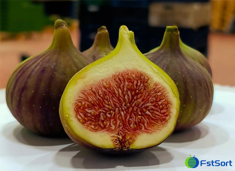 images/1754560583231fig sorter.jpg